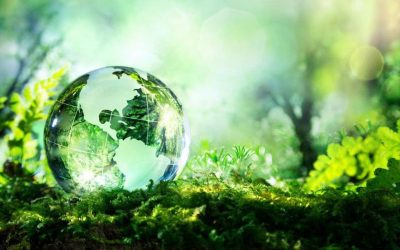 Energizing the Future: A Holistic Approach to Global Sustainability