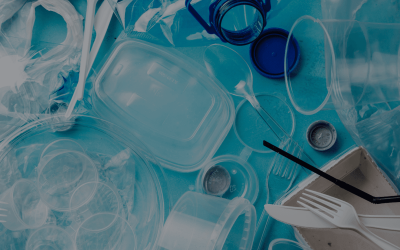 Maximising Resource Efficiency and Transitioning to a Circular Economy